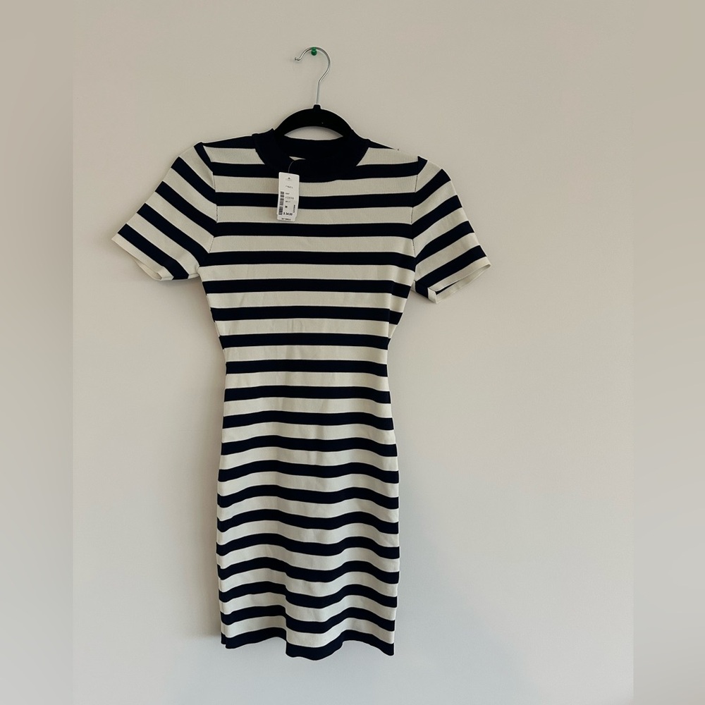 Striped Black and White Dress